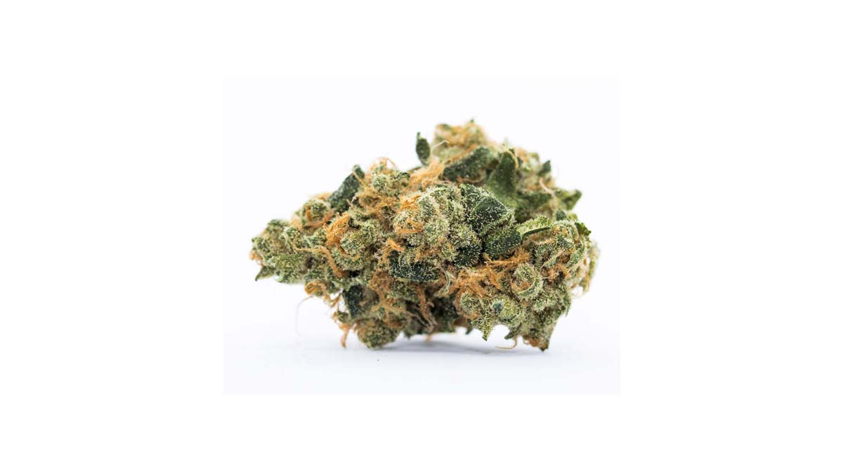 Lemon Krash: Sorte, Aroma & THC Gehalt