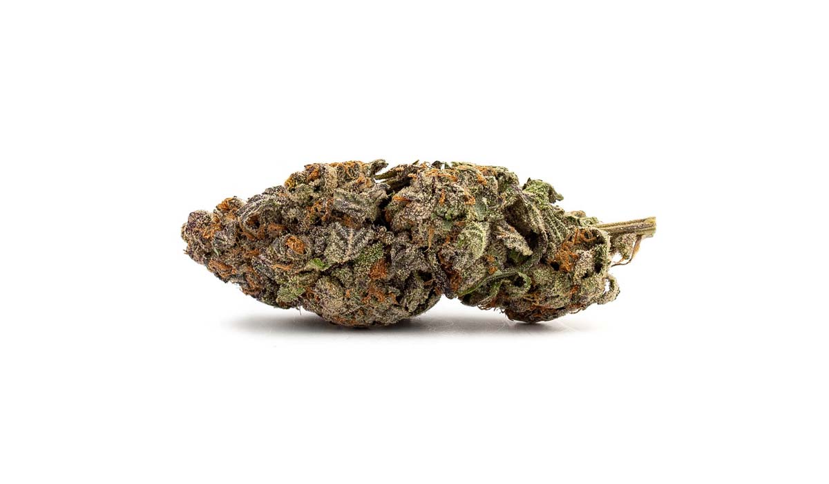MAC1: Sorte, Aroma & THC Gehalt