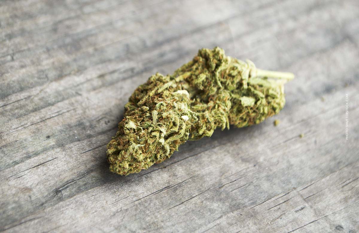 Tangie: Sorte, Aroma & THC Gehalt