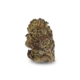 MAC x 16,0% THC | LUANA