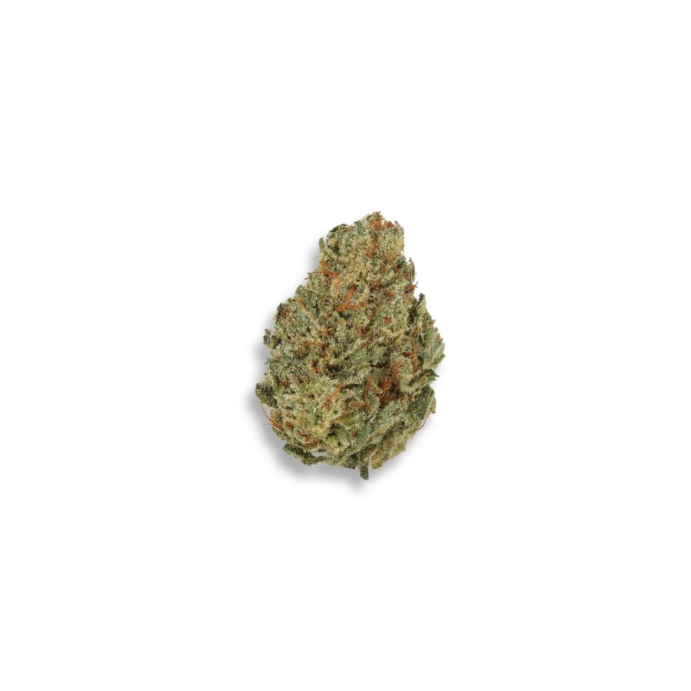 Nova x 24,0% THC | Cannamedical